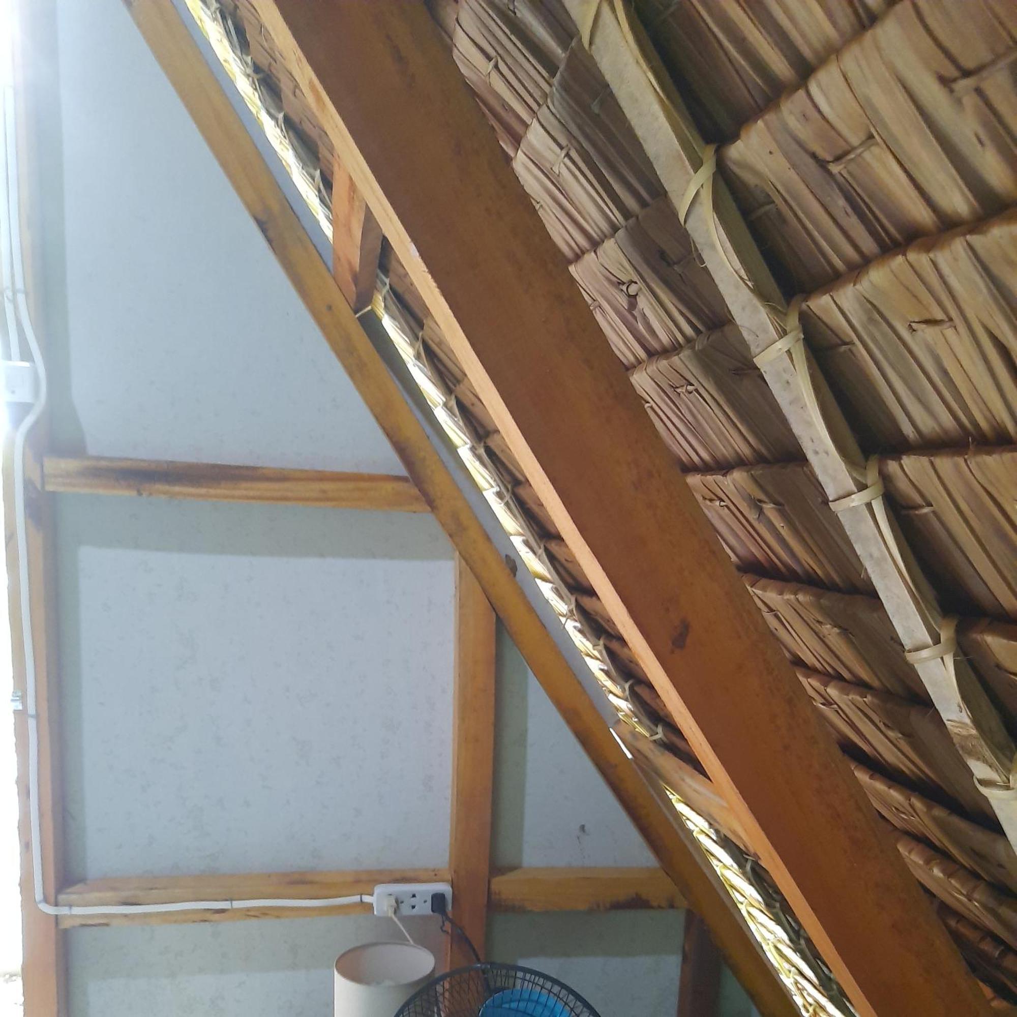 Lagkaw Uno In Lagkaw Homestay Panglao Extérieur photo