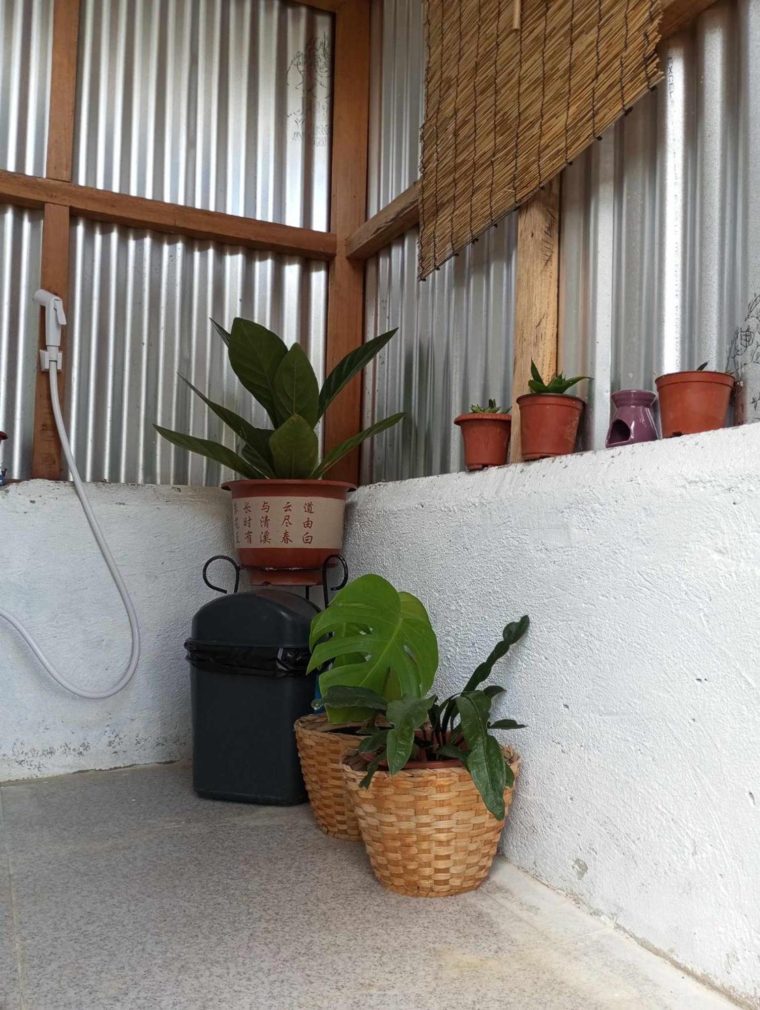 Lagkaw Uno In Lagkaw Homestay Panglao Extérieur photo