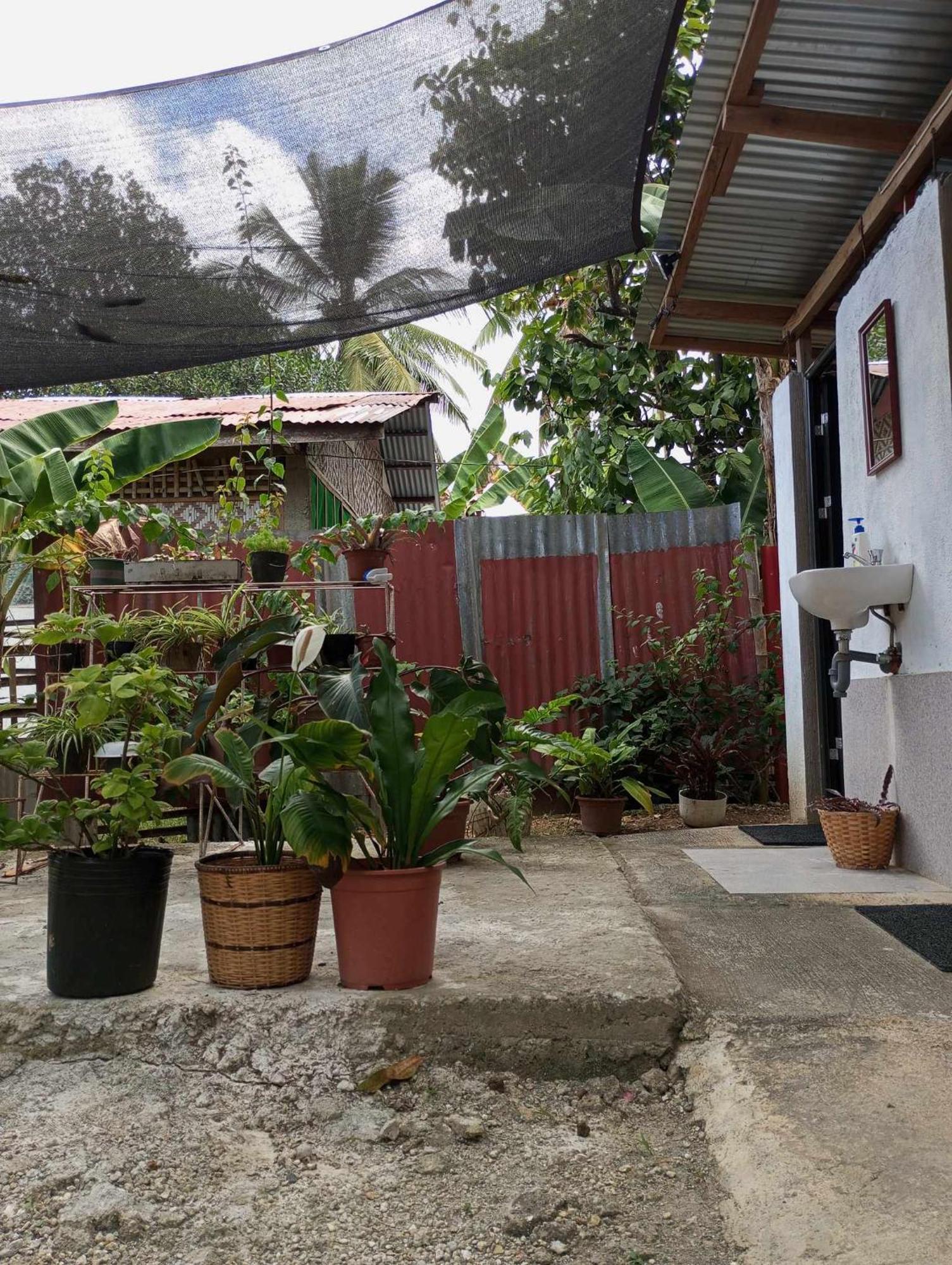 Lagkaw Uno In Lagkaw Homestay Panglao Extérieur photo