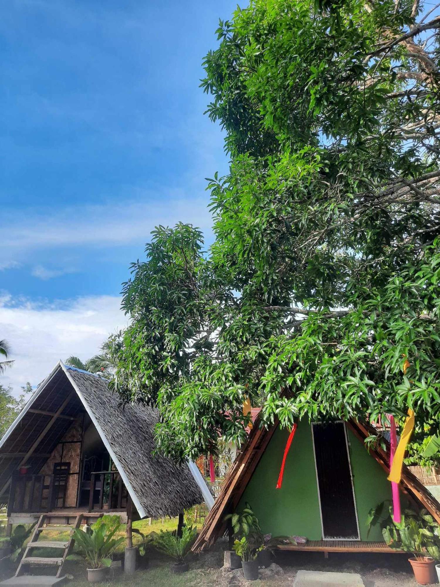 Lagkaw Uno In Lagkaw Homestay Panglao Extérieur photo