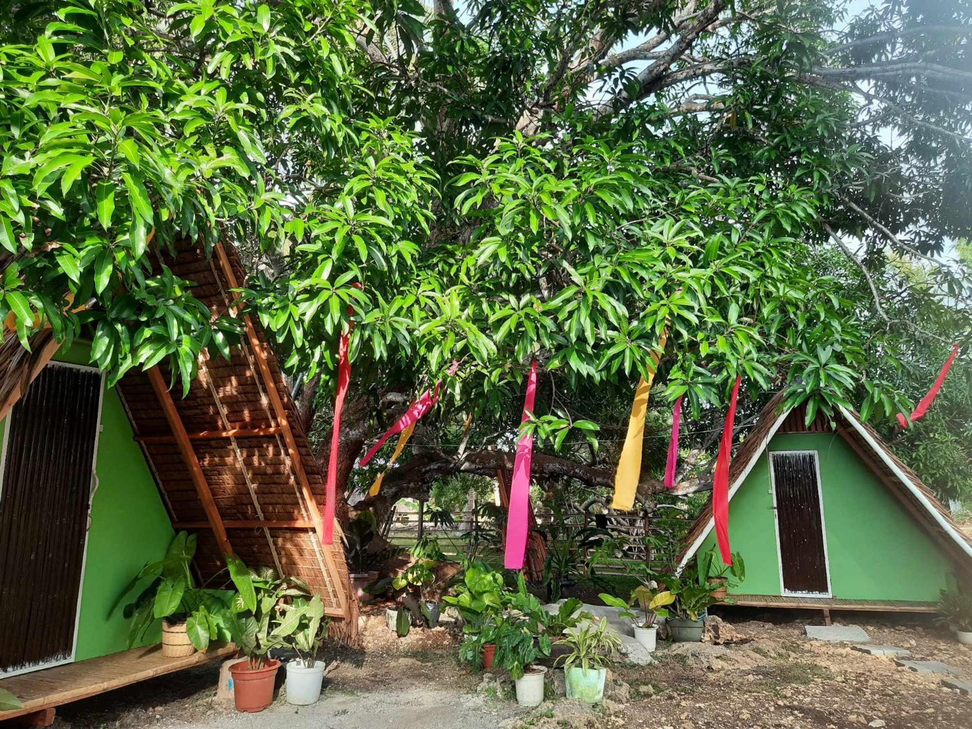 Lagkaw Uno In Lagkaw Homestay Panglao Extérieur photo