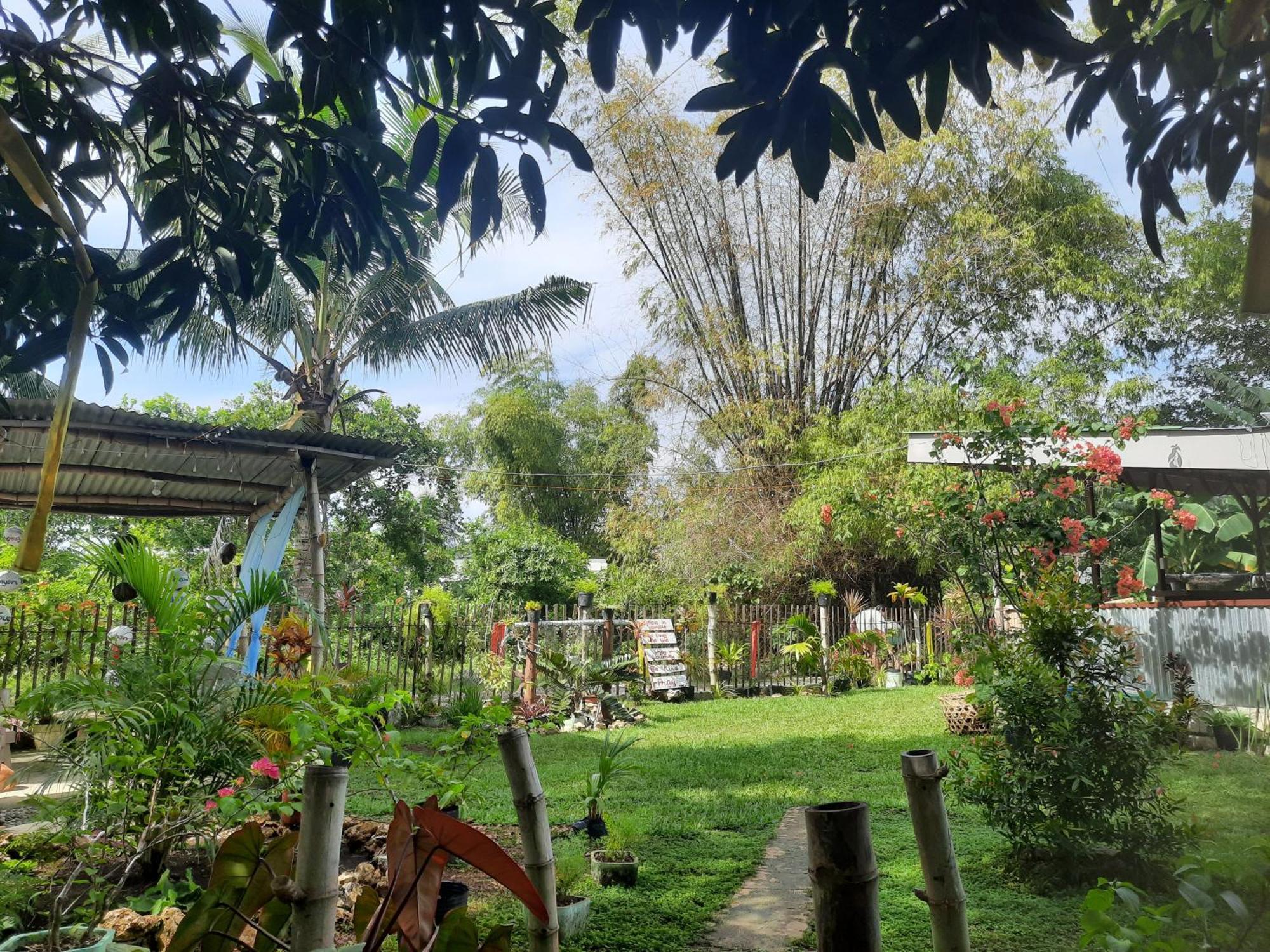 Lagkaw Uno In Lagkaw Homestay Panglao Extérieur photo