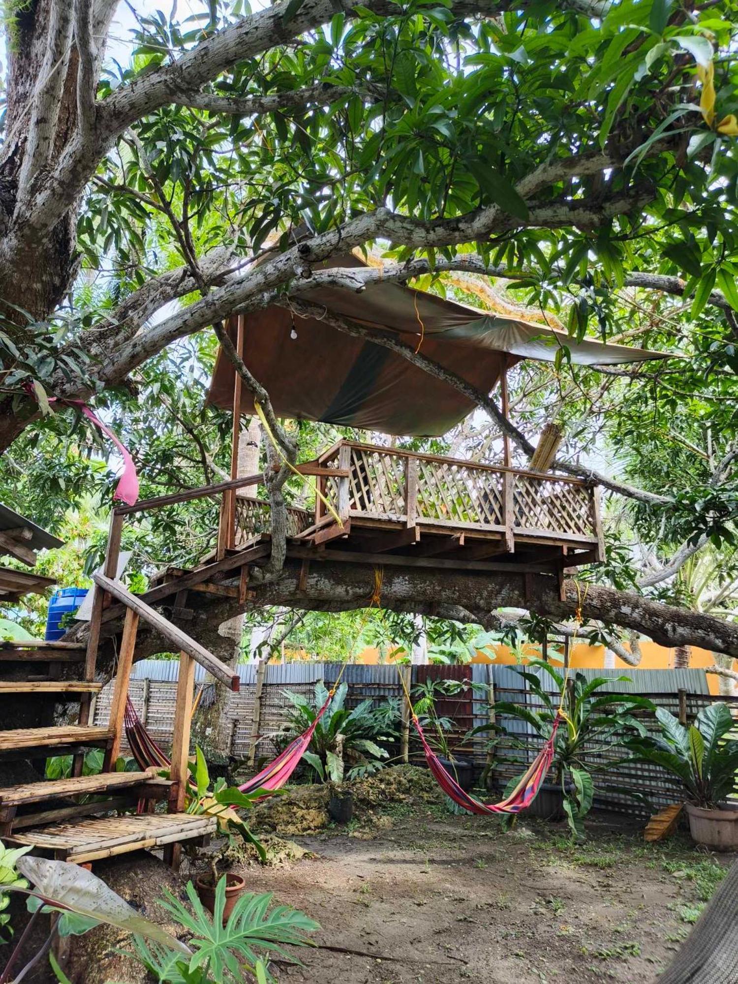 Lagkaw Uno In Lagkaw Homestay Panglao Extérieur photo