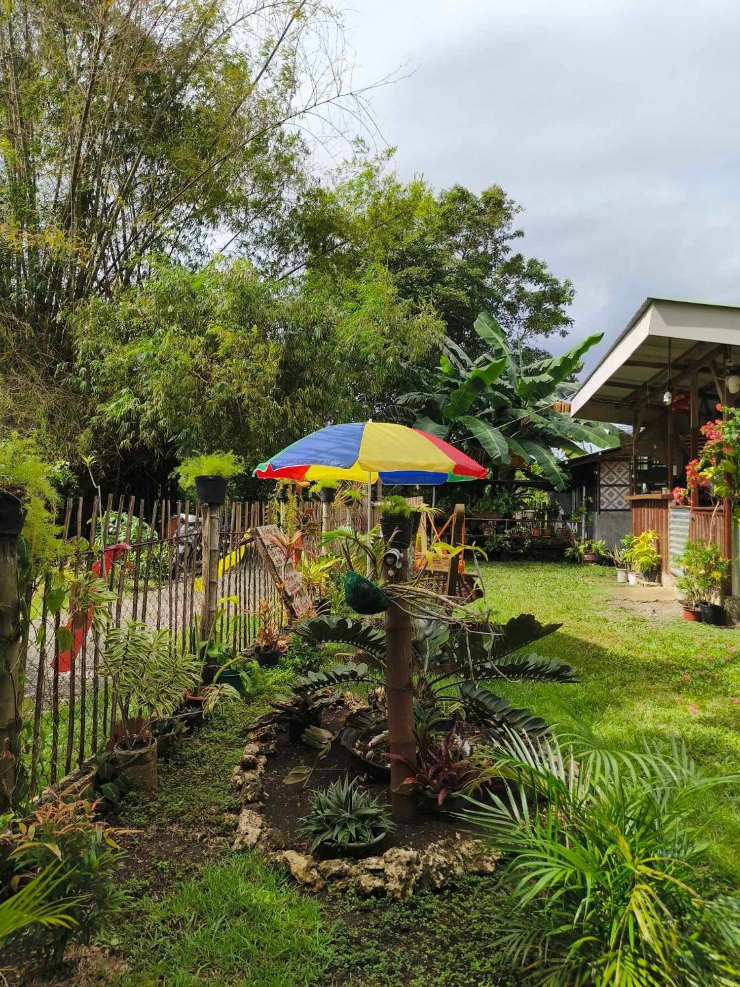 Lagkaw Uno In Lagkaw Homestay Panglao Extérieur photo