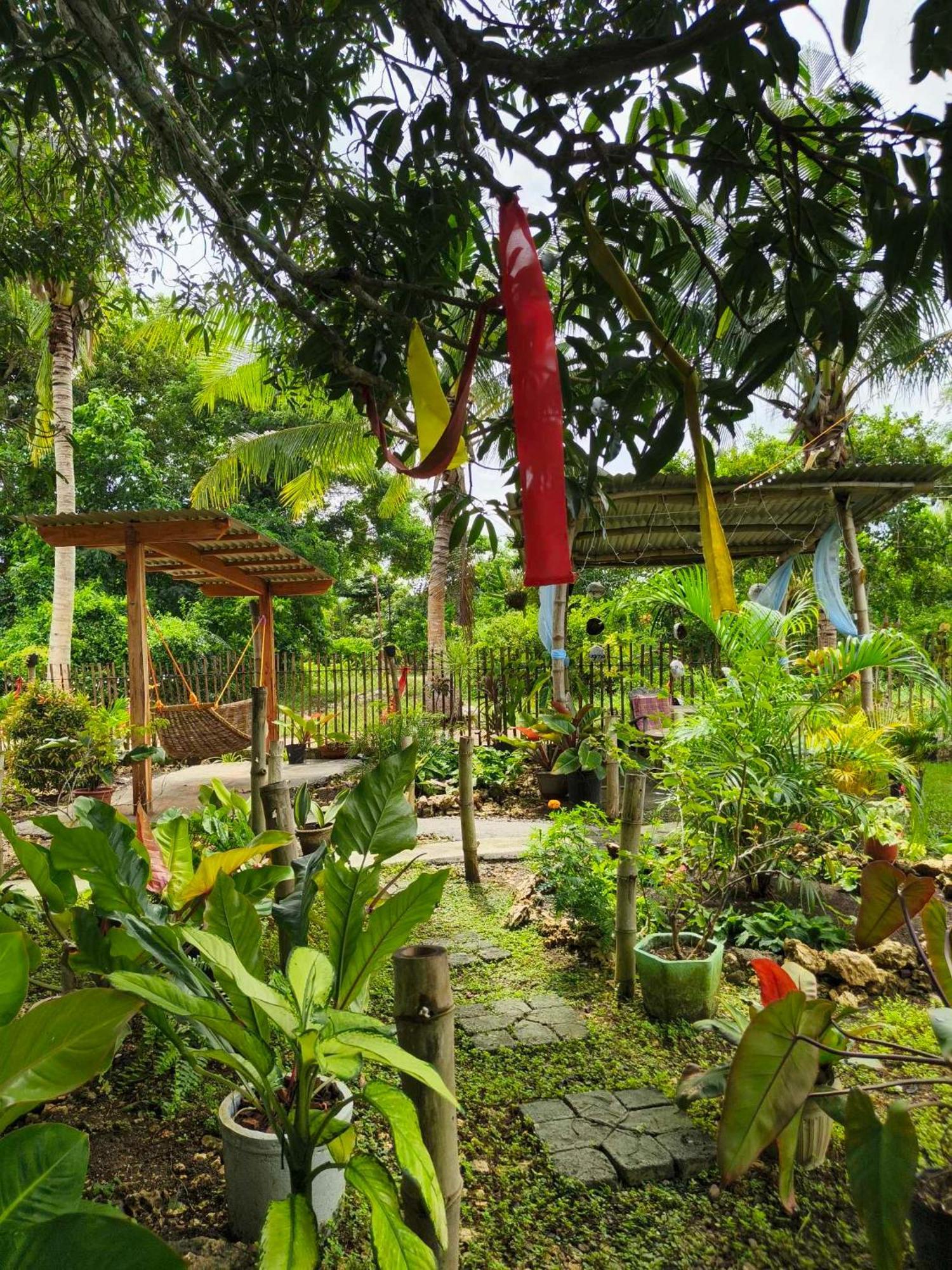 Lagkaw Uno In Lagkaw Homestay Panglao Extérieur photo